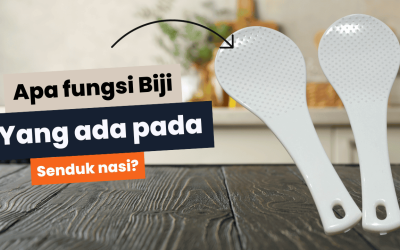 Apa Fungsi Biji Yang Ada Pada Senduk Nasi