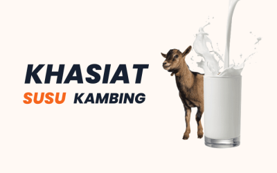 10 Manfaat dan Khasiat Susu Kambing untuk Kesihatan