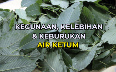 Kegunaan, Kelebihan dan Keburukan Air Ketum